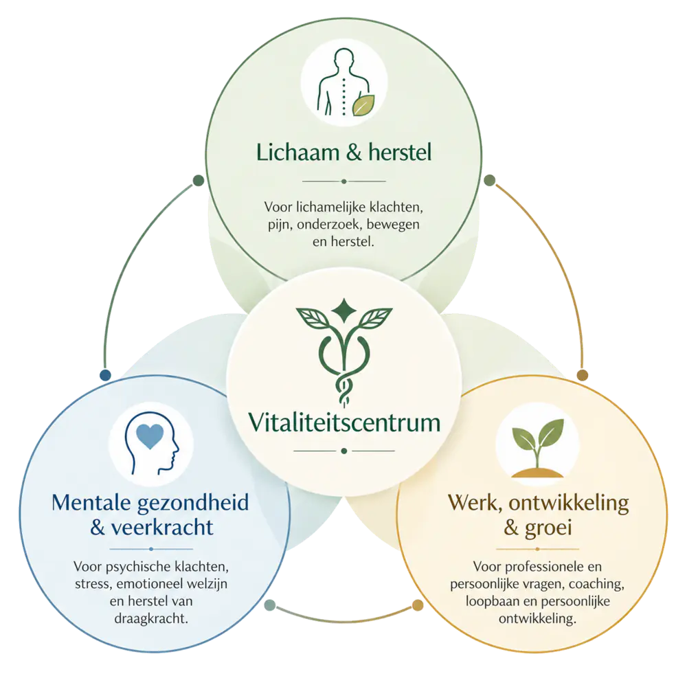 De drie domeinen van het Vitaliteitscentrum: lichaam en herstel, mentale gezondheid en veerkracht, werk, ontwikkeling en groei